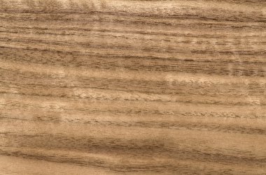 Ahşap tahıl doku, egzotik kaplama arka plan