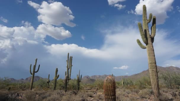 Arizona desierto video timelapse producción — Vídeos de Stock