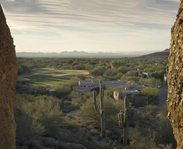 Golden hour Arizona landscape, Scottsdale, Phoenix area,USA — Stock Photo, Image