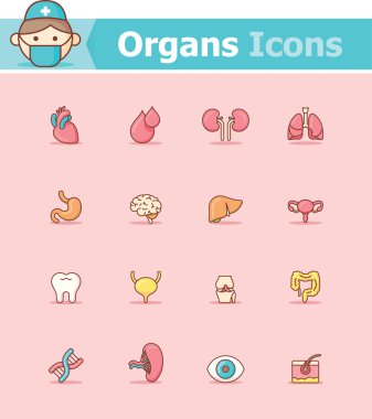 İç organları Icon set
