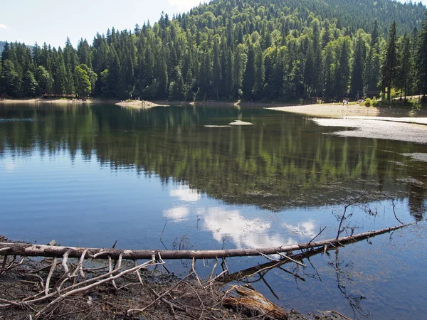 Le lac de montagne Synevyr dans les Carpates ukrainiennes — Photo