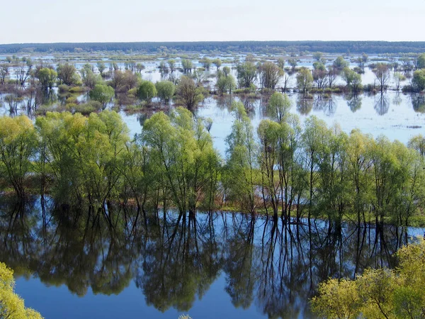 Vista Planície Inundação Rio Desna Durante Inundação Primavera Região Chernihiv — Fotografia de Stock