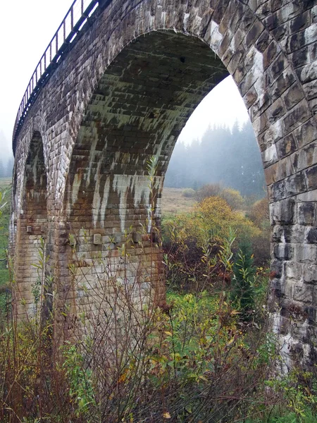 Çalışma bir viyadük XIX Vorokhta, Karpatlar, Ukrayna yaş.