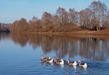 Soğuk bir sonbahar günü nehir üstünde