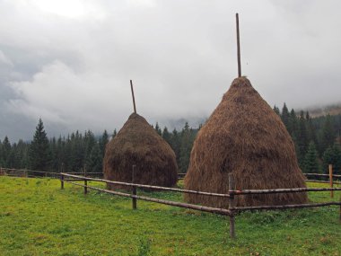 haystacks ile peyzaj