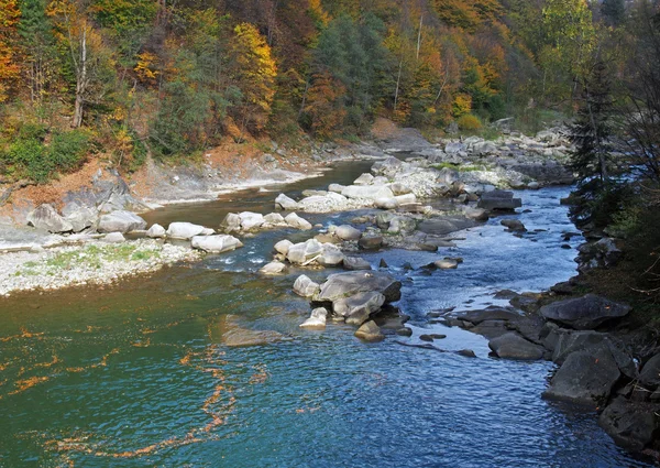 Fiume di montagna Prut nei Carpazi ucraini — Foto Stock