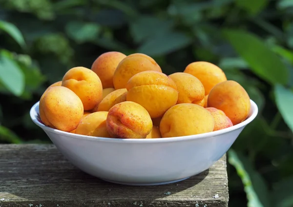 Спелые свежие абрикосы в миске — стоковое фото