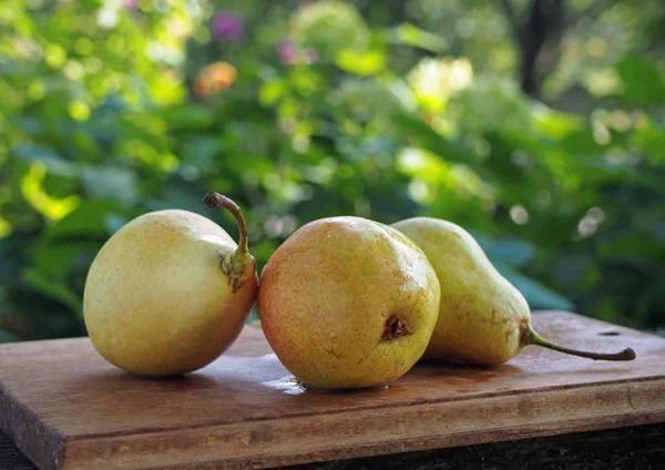 Olgun sarı armut — Stok fotoğraf