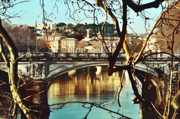 Roma, İtalya. Cathedral St. Pe set görüntülemek