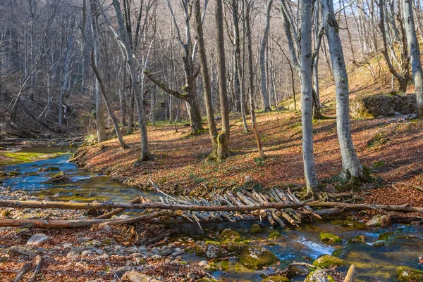 Pequena ponte de madeira sobre um riacho de montanha — Fotografia de Stock