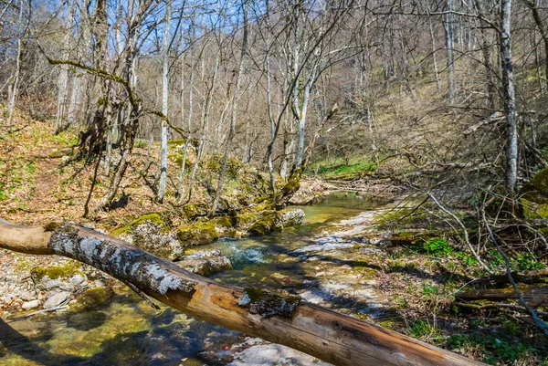 Jarní horské řeky scéna — Stock fotografie