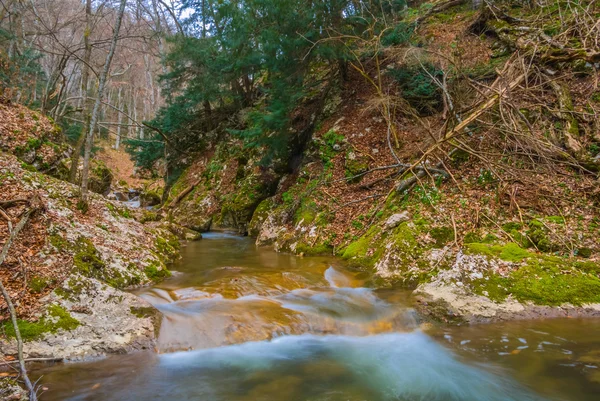 Jarní horský lesní canyon a překotně řeka — Stock fotografie