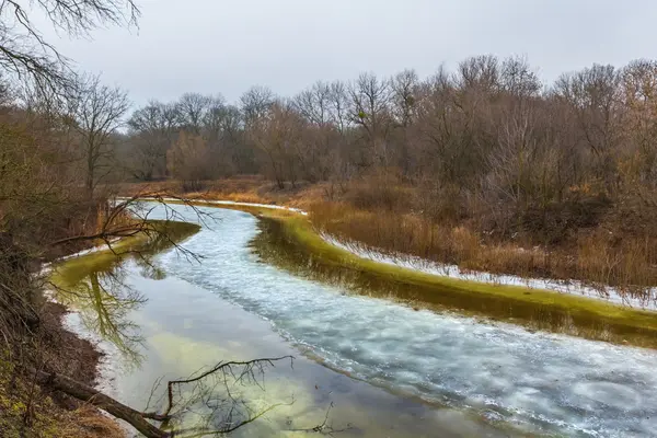 Début printemps forêt rivière — Photo