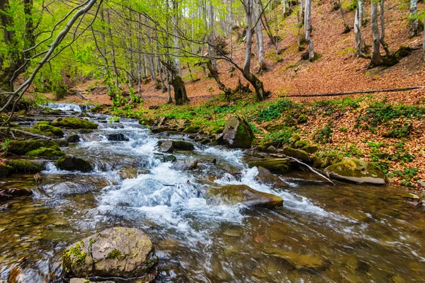 Río corriendo a través de un cañón de montaña — Foto de Stock