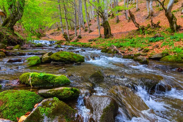 Річка, що проходить через гірський ліс — стокове фото