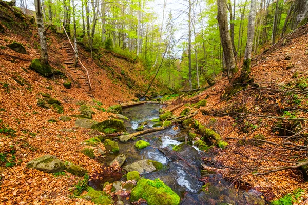 Pequeno rio em um desfiladeiro de montanha de primavera — Fotografia de Stock