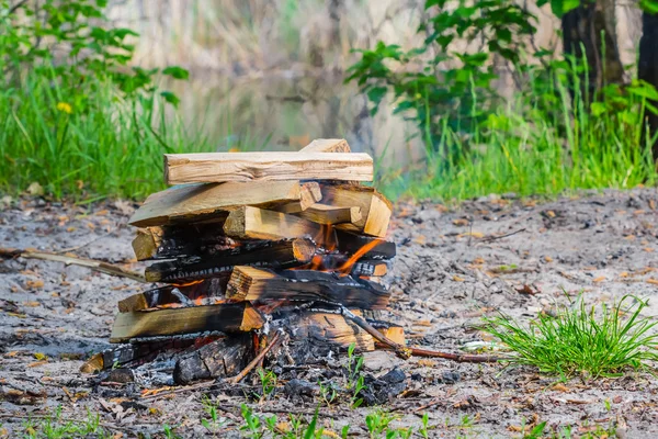 Fuoco in una foresta estiva — Foto Stock