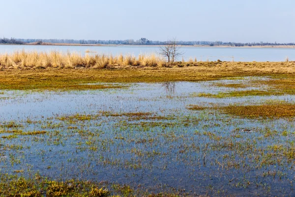 Early spring prairie flooded by a water — Stock Photo, Image