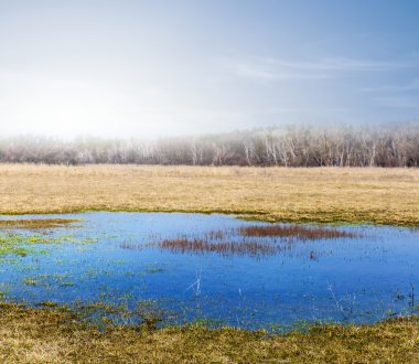 bir bahar Prairie mavi su birikintisi