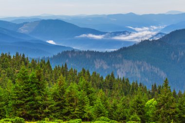 Ukrayna, Karpat Dağları mavi sis içinde