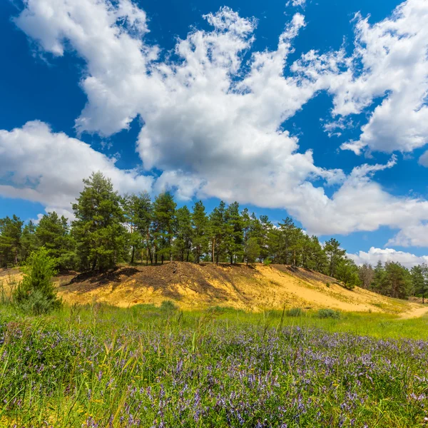 Gröna prairie, sandiga hill, sommar landskap — Stockfoto