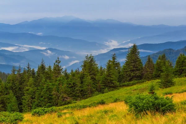 Ucraina, montagne carpatiche in una nebbia blu — Foto Stock