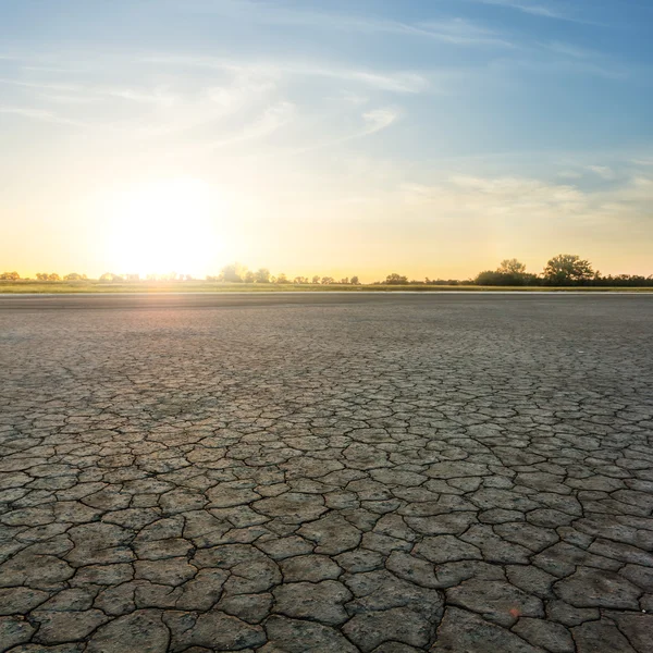 Tierra seca agrietada al atardecer —  Fotos de Stock