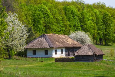 bir orman glade eski stilize kırsal ev