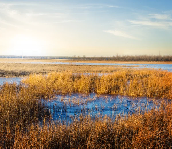 Zonsondergang over een meer rustige zomer — Stockfoto