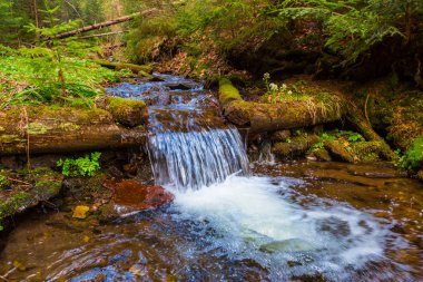Acele dağ nehir manzarası