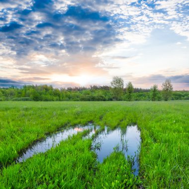 gün batımını gölette ile yeşil alan