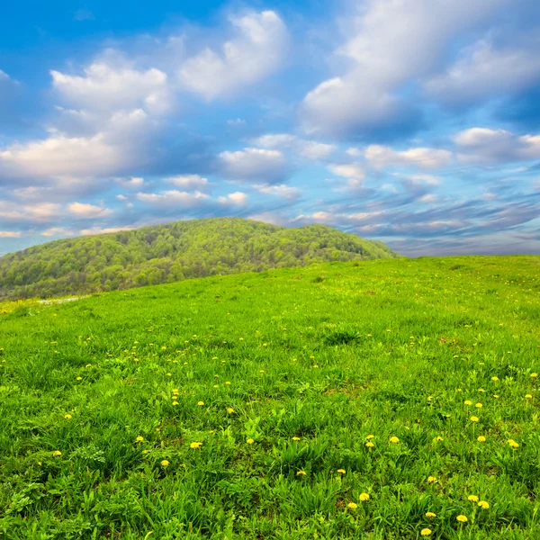 Bellissimo paesaggio verde delle colline primaverili — Foto Stock