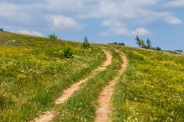 Pente verdoyante et route rurale au sol — Photo