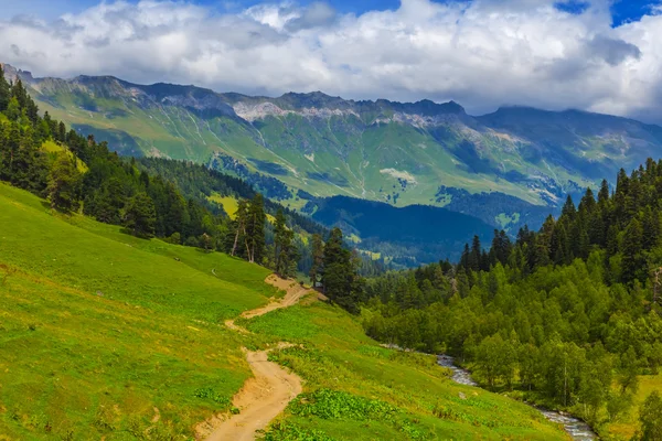 Beautiful green mountain valley scene — Stock Photo, Image