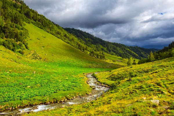 Beautiful green mountain landscape — Stock Photo, Image