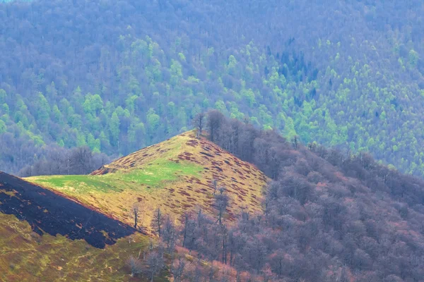 Frühlingshafte Bergkulisse — Stockfoto