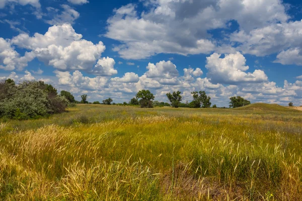 Green summer prairie landscape — Stock Photo, Image