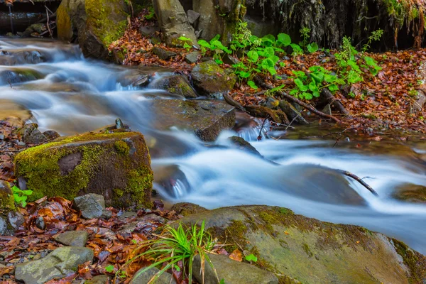 Small brook rushing in a mountain canyon — Stock Photo, Image
