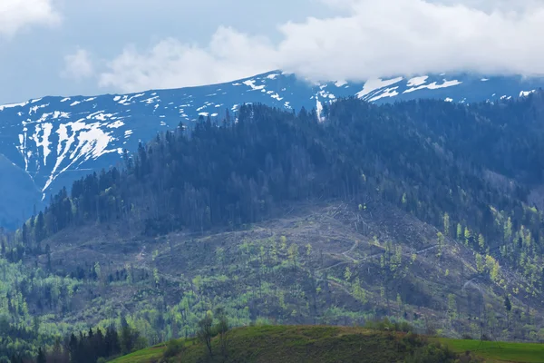 Blue spring mountain scene — Stock Photo, Image