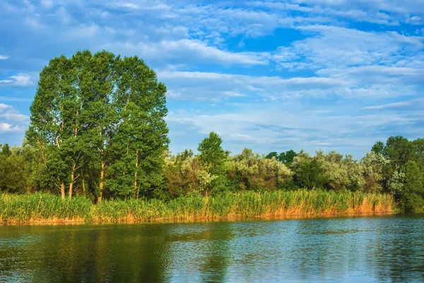 Bellissimo paesaggio rurale, piccolo fiume calmo — Foto Stock