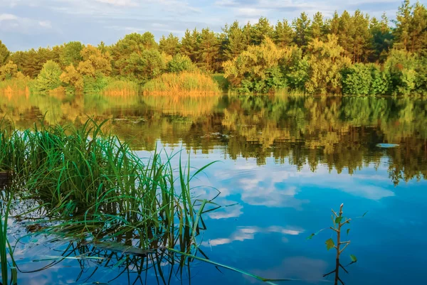 Sommerlicher ruhiger See am Abend — Stockfoto