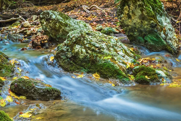 Красивий швидкий гірський потік — стокове фото