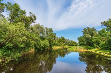 Sessiz yaz nehir sahne