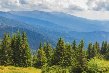 Yeşil orman, dağ Vadisi ve puslu dağ zincirleri