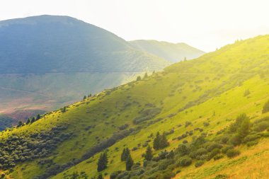 ışıltı güneş ışınlarının yeşil dağ yamacı