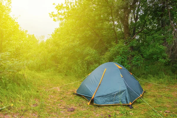 Turistiska camp i en sommar skog — Stockfoto