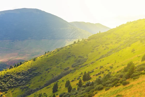 ışıltı güneş ışınlarının yeşil dağ yamacı
