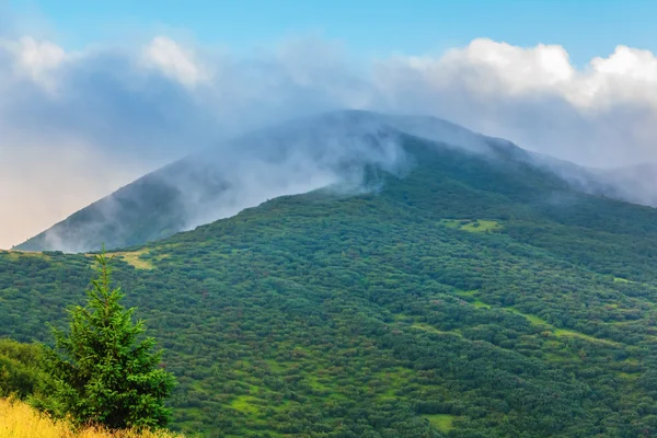 Green mount top in a clouds — Stock Photo, Image