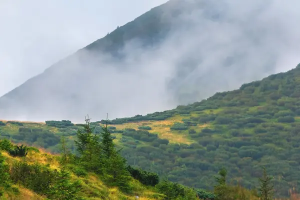 Passo de montanha verde em uma névoa — Fotografia de Stock