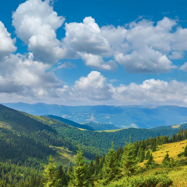 Panorama verde valle di montagna — Foto Stock